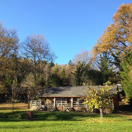 Au Bois De Calais Villa Corrèze Dış mekan fotoğraf